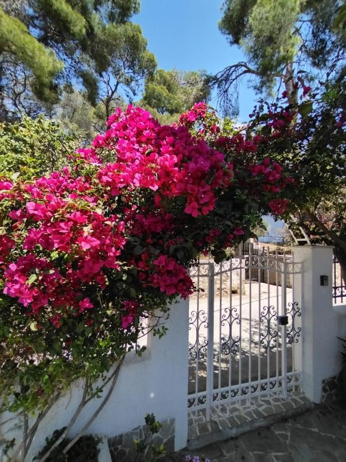 Rigos House At Askeli Beach, Poros Island Poros Town Exteriör bild